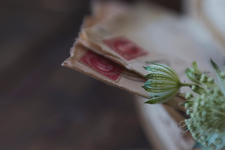 A small bundle of old letters tied together, beside a green plant.