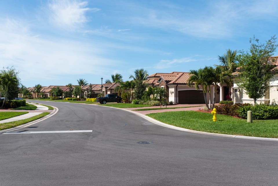 A quiet suburban street of houses under a bright sky.